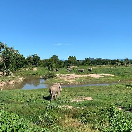 I Love Phants Lodge Ban Huai Thawai Kültér fotó