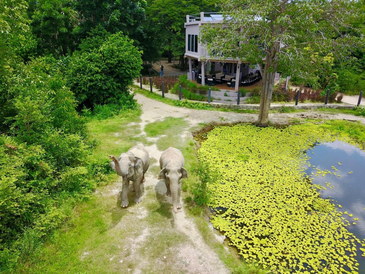 I Love Phants Lodge Ban Huai Thawai Kültér fotó