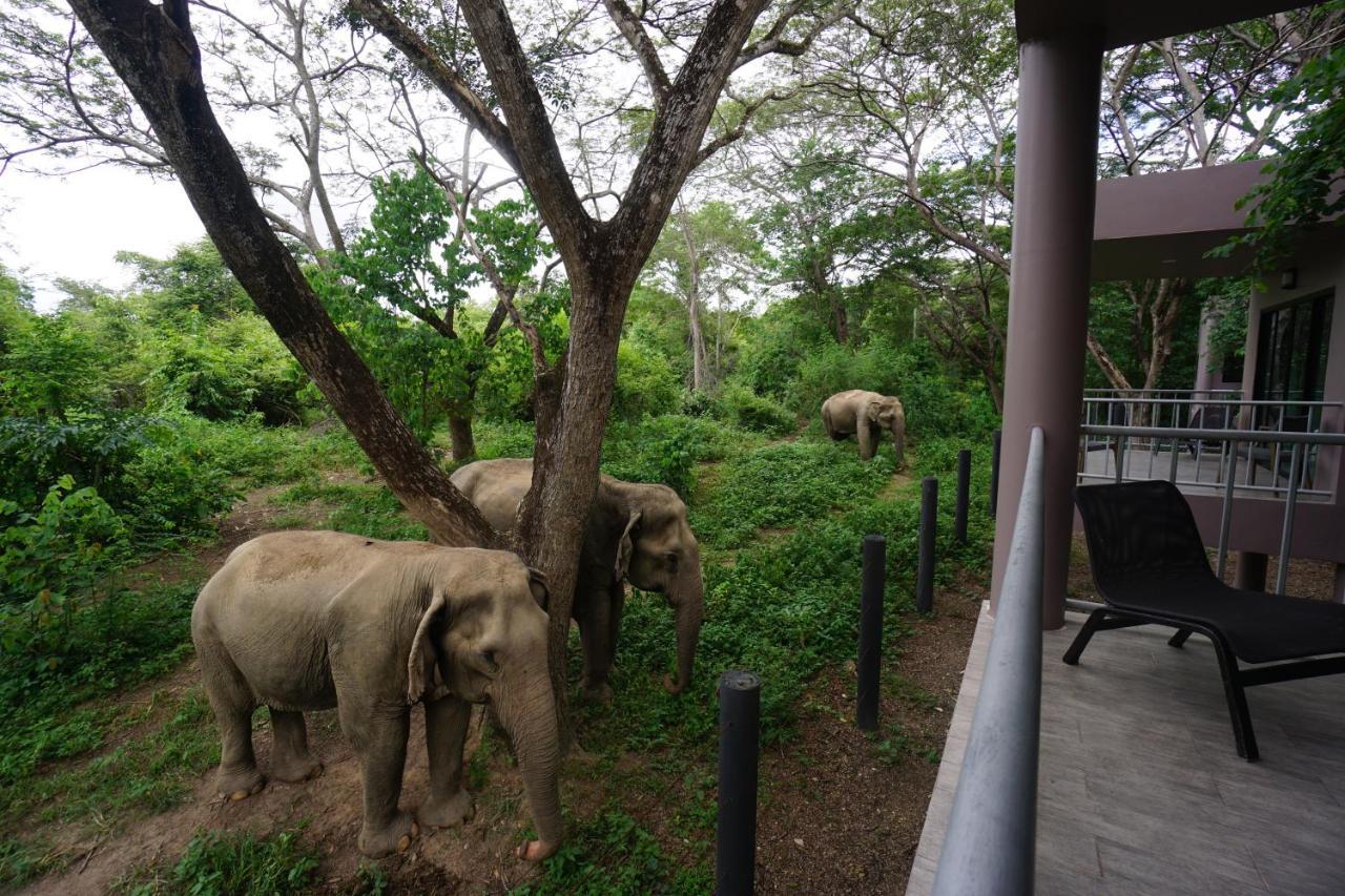 I Love Phants Lodge Ban Huai Thawai Kültér fotó