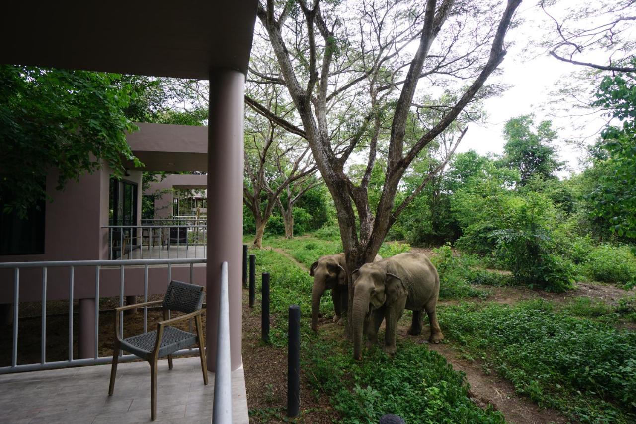 I Love Phants Lodge Ban Huai Thawai Kültér fotó