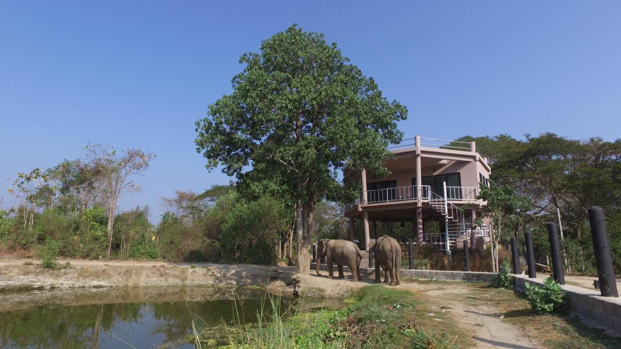 I Love Phants Lodge Ban Huai Thawai Kültér fotó