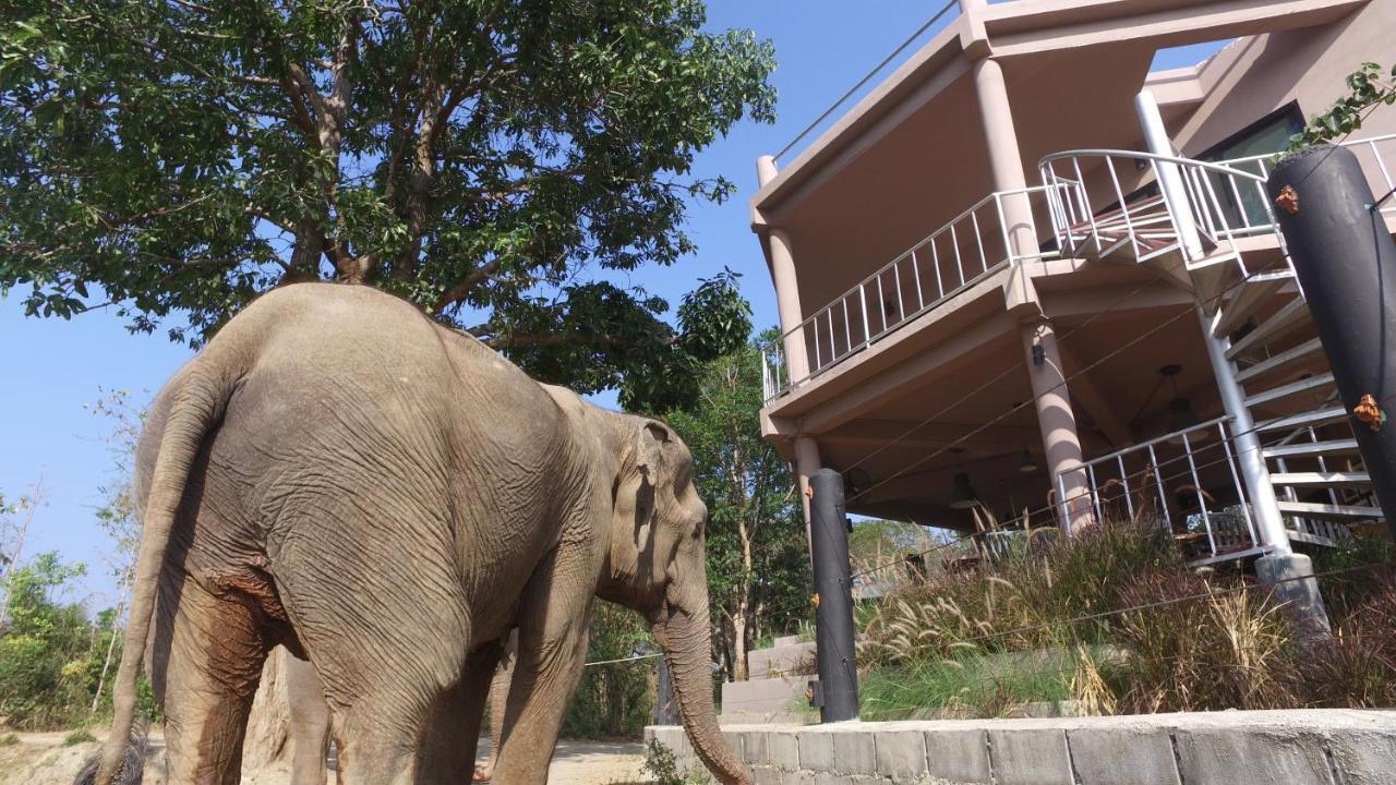 I Love Phants Lodge Ban Huai Thawai Kültér fotó