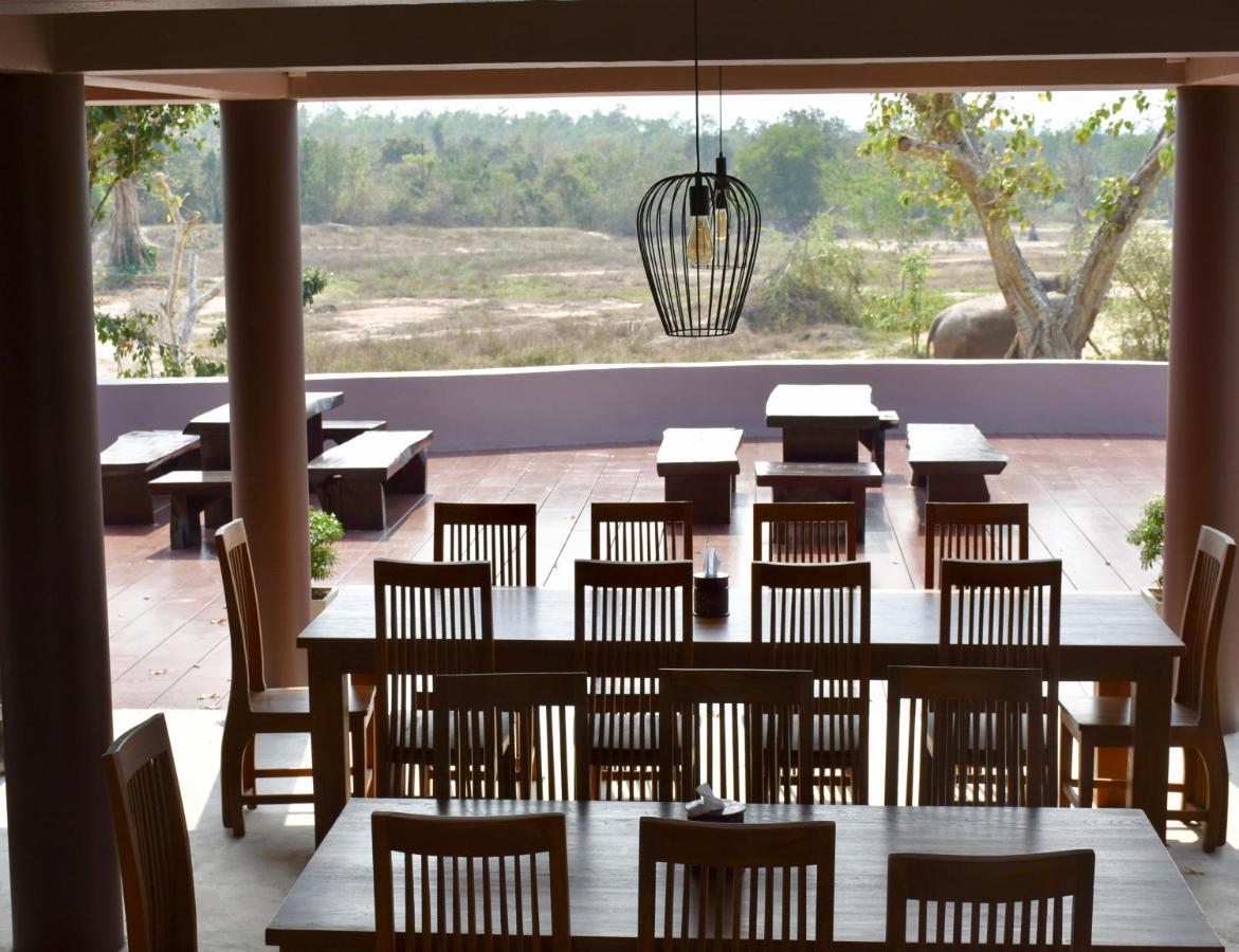 I Love Phants Lodge Ban Huai Thawai Kültér fotó