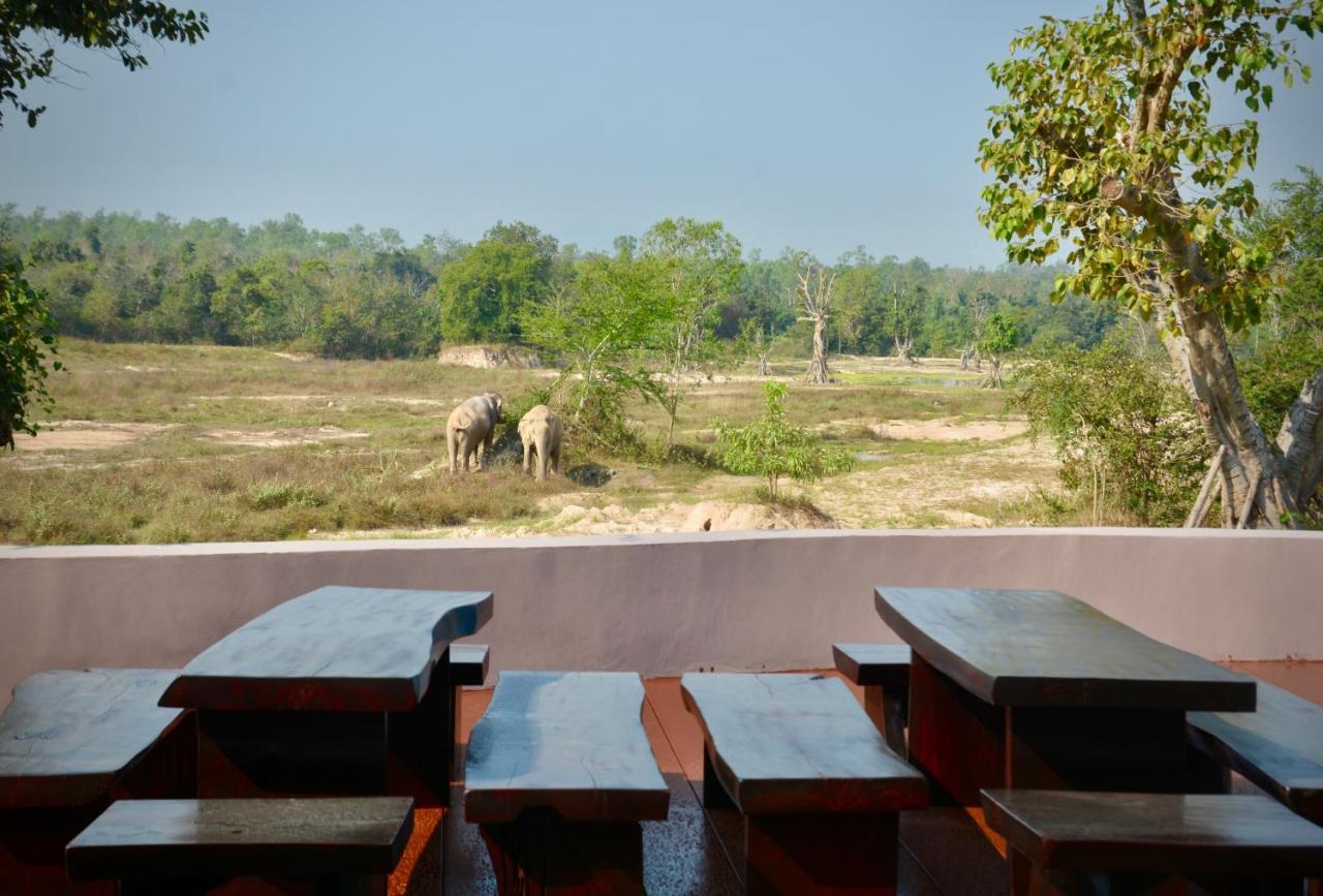 I Love Phants Lodge Ban Huai Thawai Kültér fotó