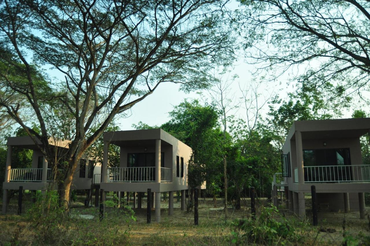 I Love Phants Lodge Ban Huai Thawai Kültér fotó
