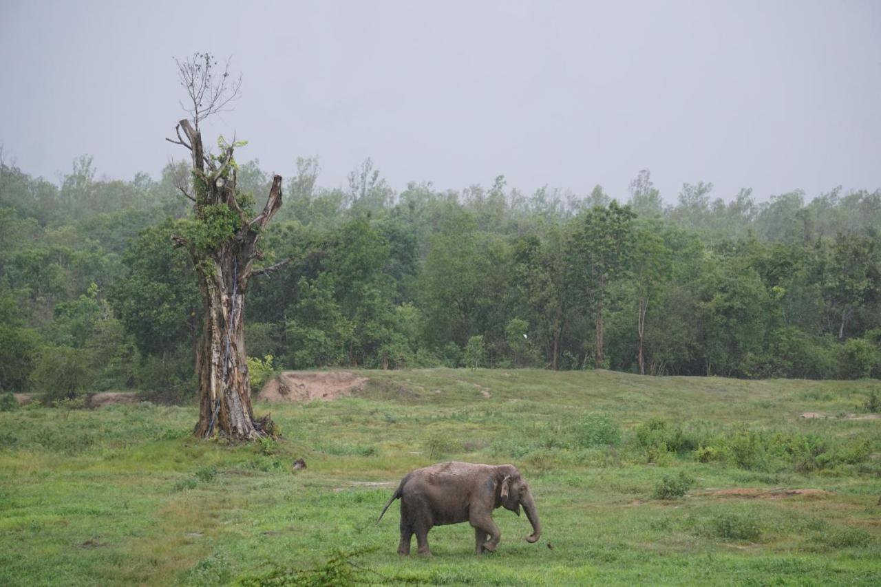 I Love Phants Lodge Ban Huai Thawai Kültér fotó