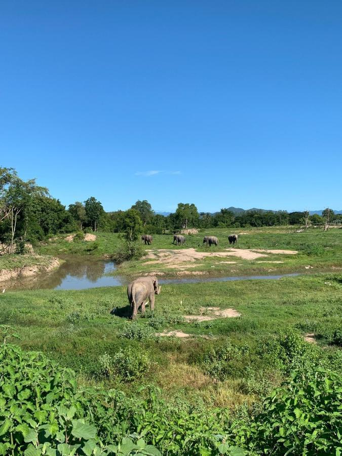 I Love Phants Lodge Ban Huai Thawai Kültér fotó