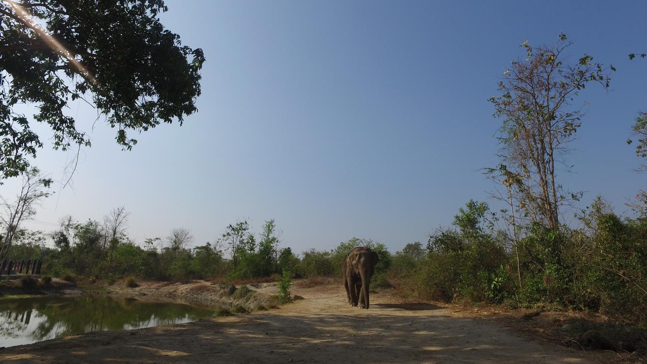 I Love Phants Lodge Ban Huai Thawai Kültér fotó