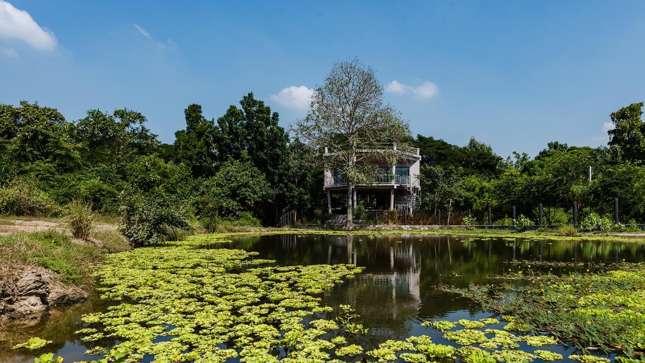 I Love Phants Lodge Ban Huai Thawai Kültér fotó